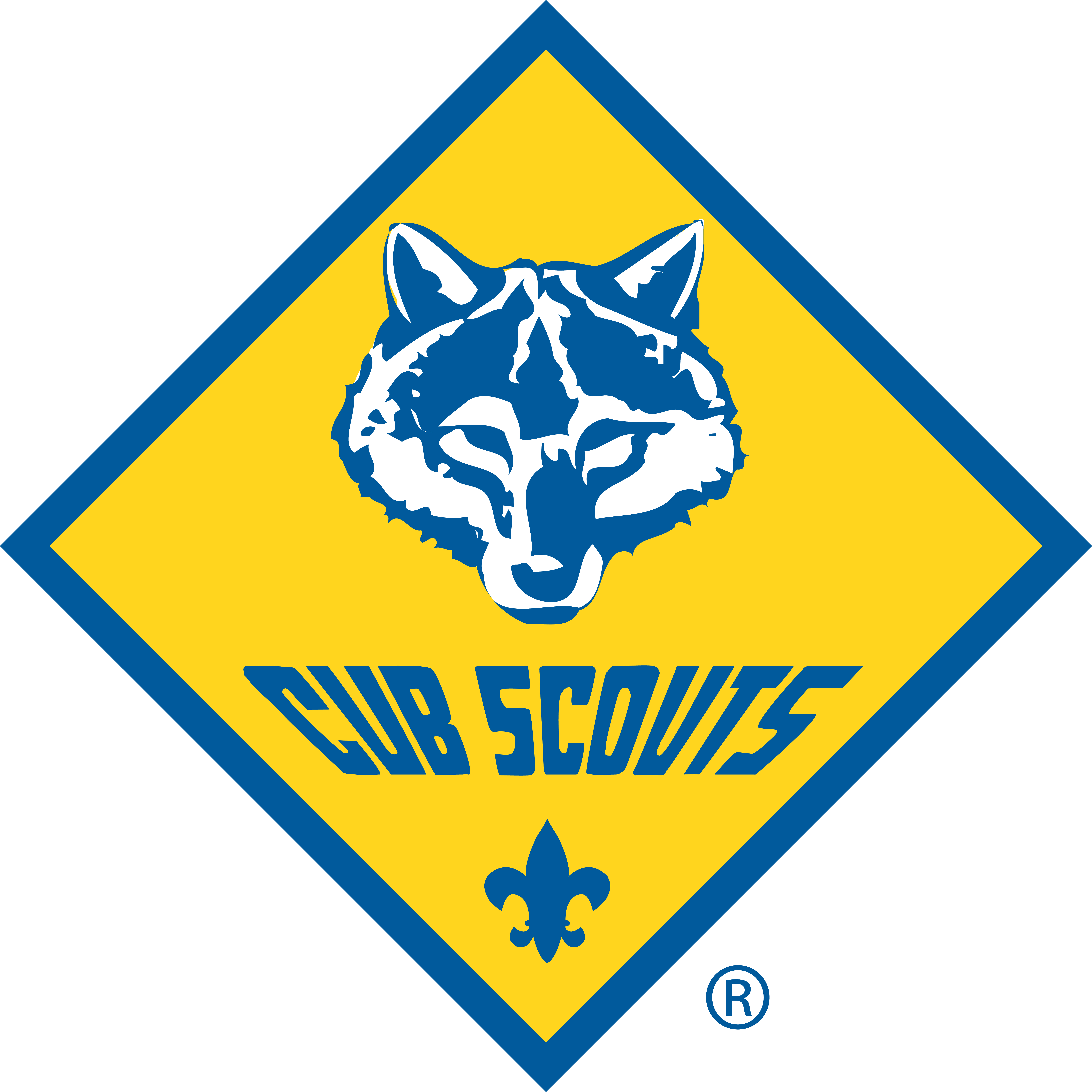 Cub Scouts adventure